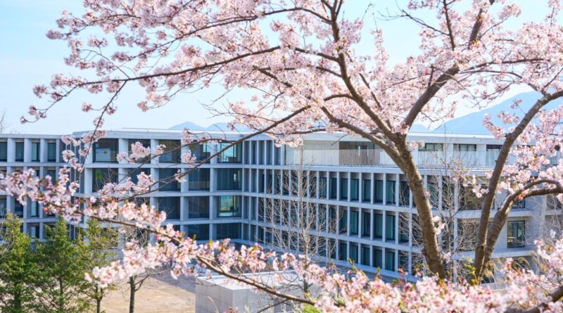 Low cost study in Malaysia for Bangladeshi students